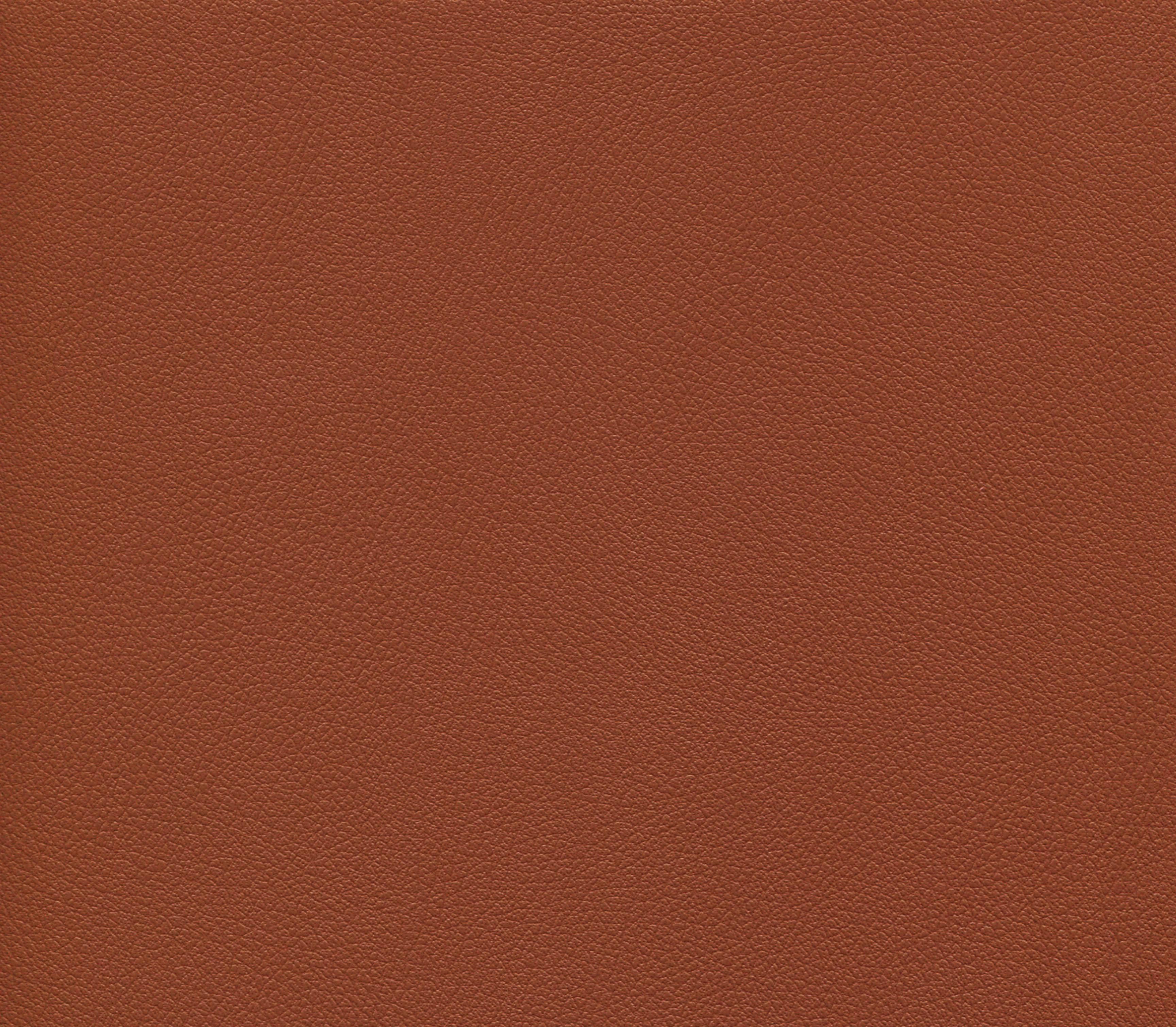 青杉木饰面产品